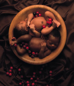 cherrybowl.jpg
