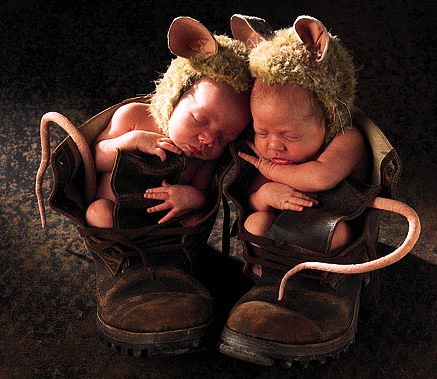 mice.jpg