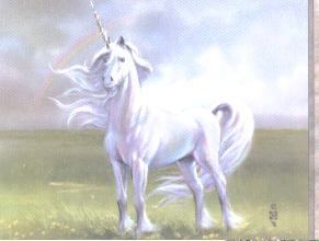 unicorn.jpg